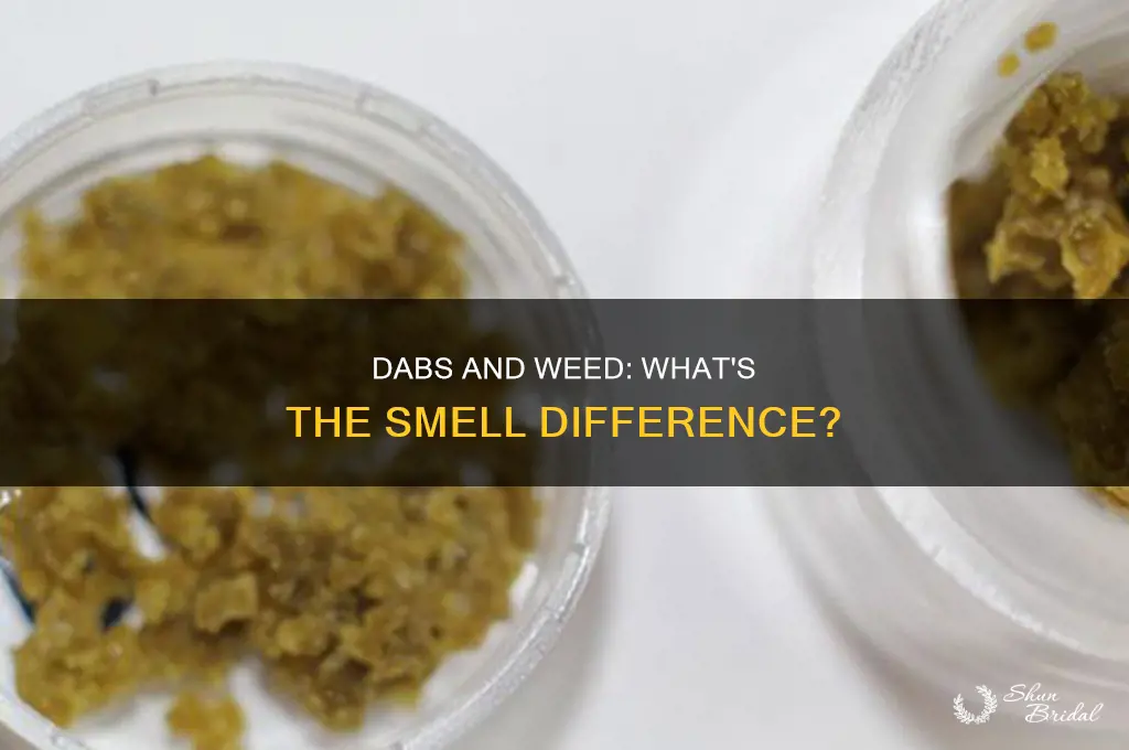 do dabs smell like wed