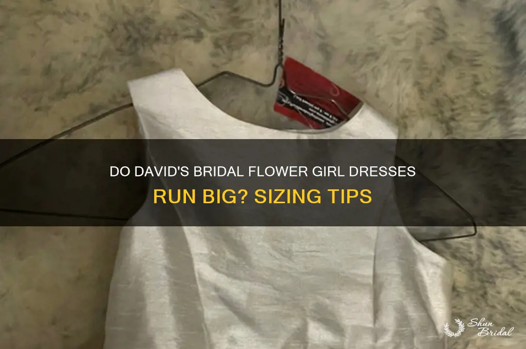 do davids bridal flower girl dresses run big