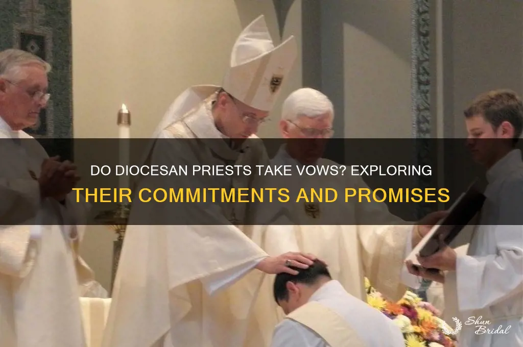 do diocesan priests take vows