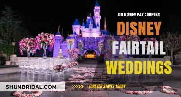 Disney Fairy Tale Weddings: Do Couples Pay for the Magic?