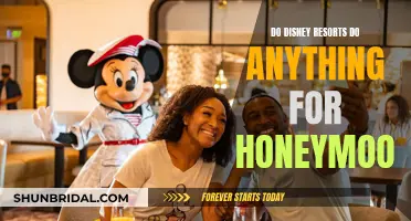 Disney Resorts: Honeymoons Made Magical