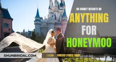 Honeymoon Perks: Disney Resort Experiences for Newlyweds