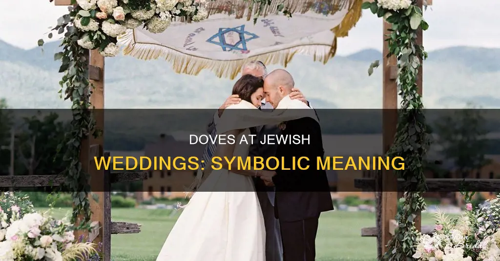 do doves mean anything for a jewish wedding