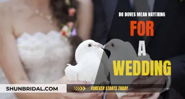 Doves at Weddings: Symbolic Peace Messengers