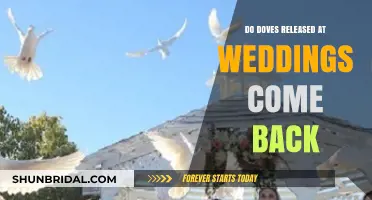Do Wedding Doves Return Home?