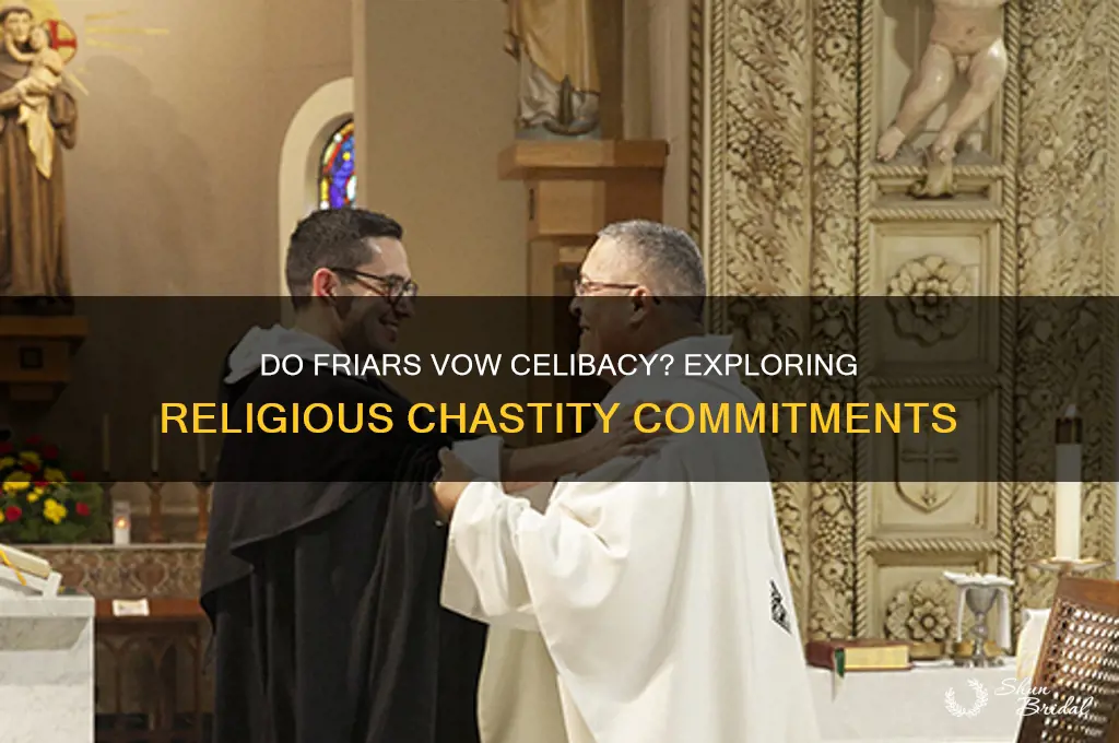 do friars take a vow of celibacy
