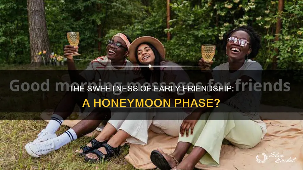 do friendships have a honeymoon phase