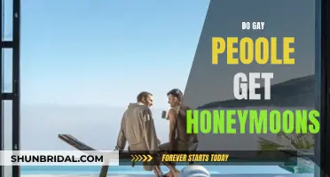 Honeymoons: A Gay Couple's Right to Romance and Relaxation