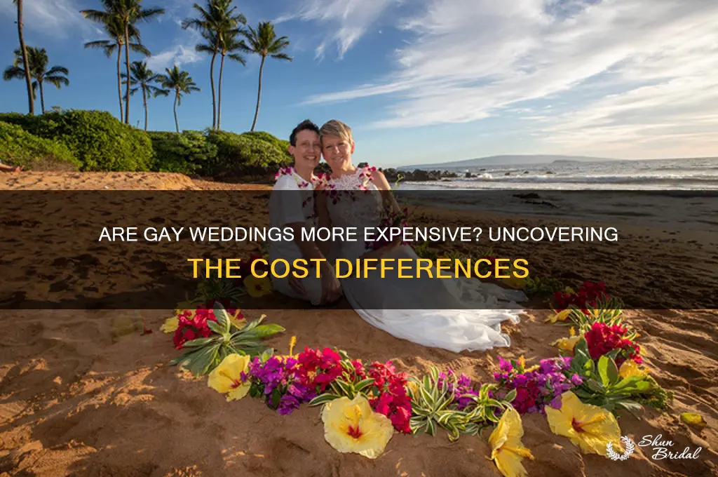 do gay weddings cost more