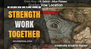 Golden Vow and Flame Grant Me Strength Synergy: Enhancing Builds Together