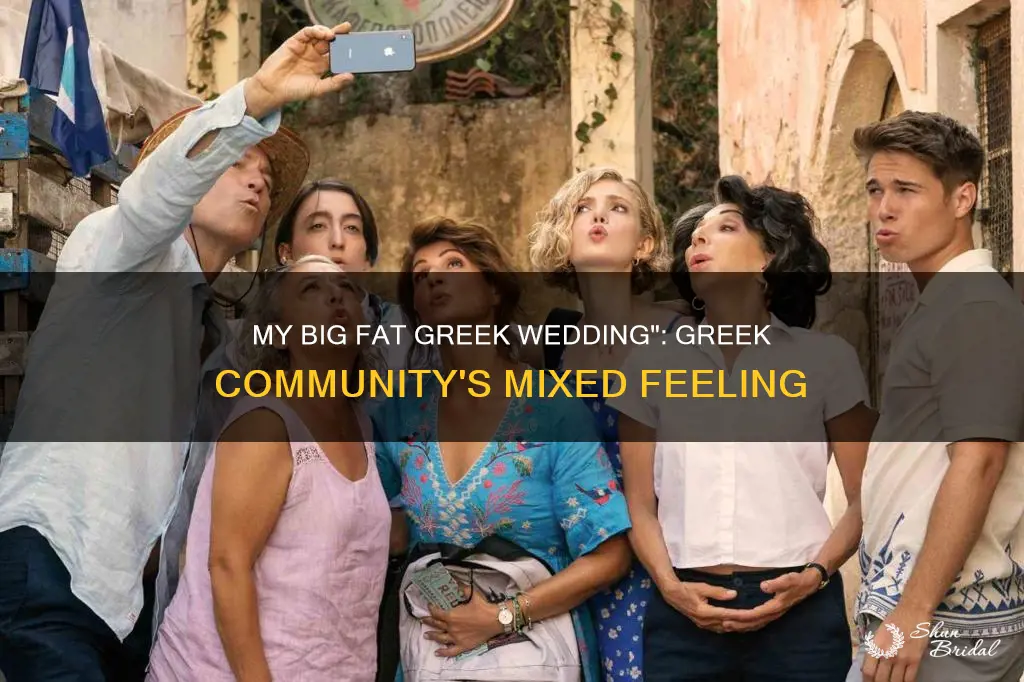 do greeks hate my big fat greek wedding