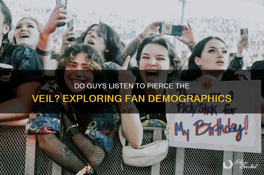 do guys listen to pierce the veil