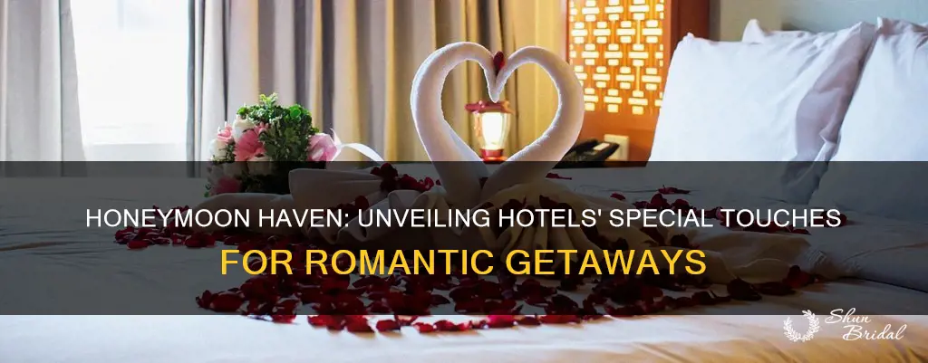 do hotels do anything special for honeymoons