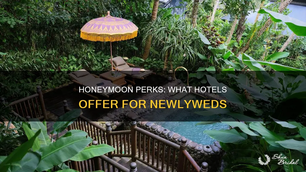 do hotels do anything special for honeymoons
