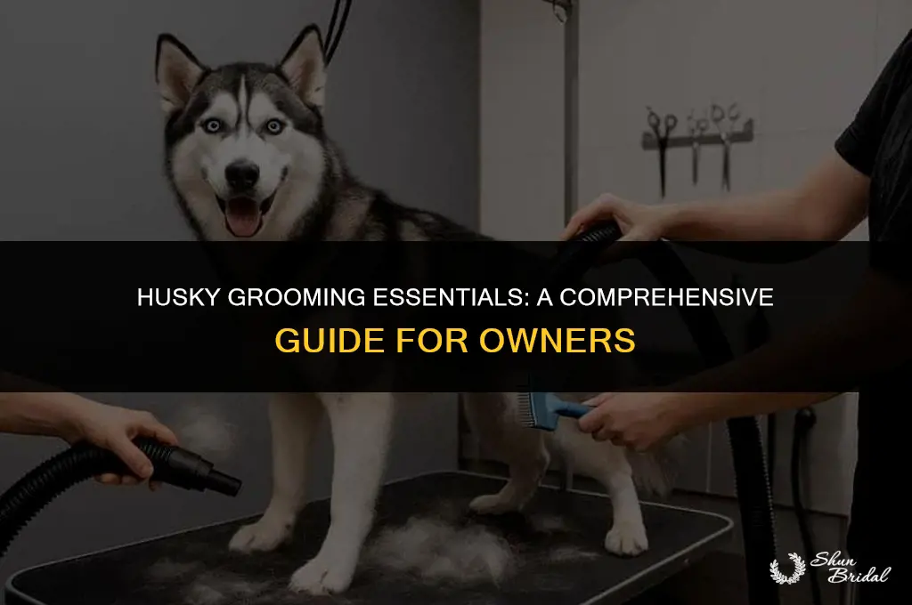 do huskies need to be groomed