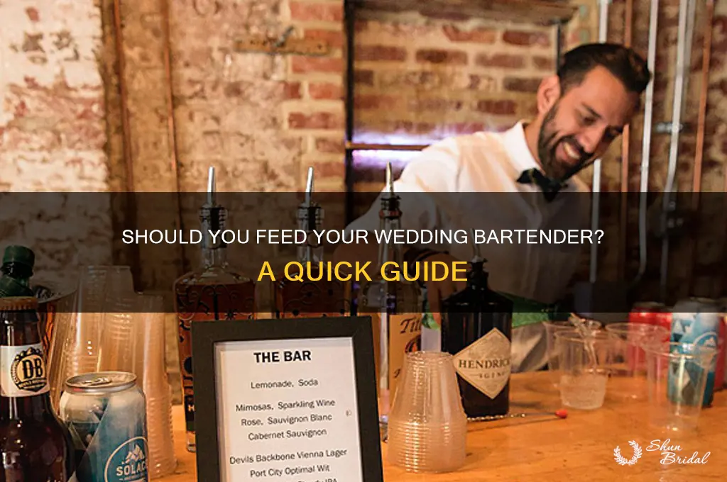 do I feed the wedding bartender