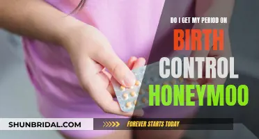 Understanding Birth Control: Period and Honeymoon Phase