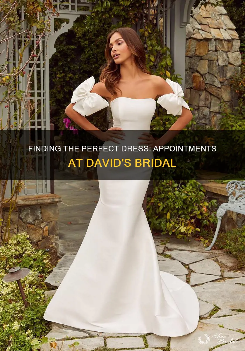 do I have to have an appointment at david