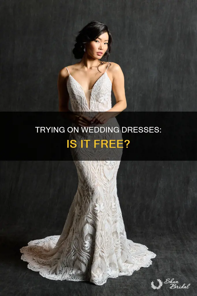 do I have to pay to try on wedding dresses