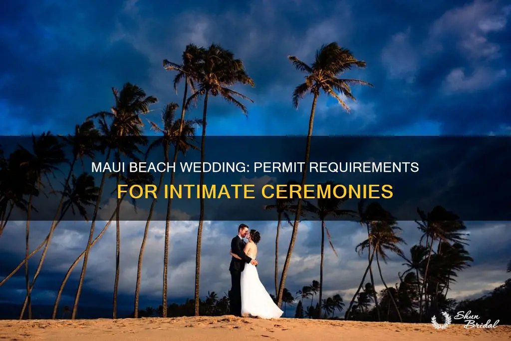 do I need a beach permit for noncommerical wedding maui
