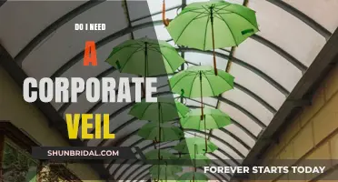 Protecting Your Business: Understanding the Corporate Veil's Role and Necessity