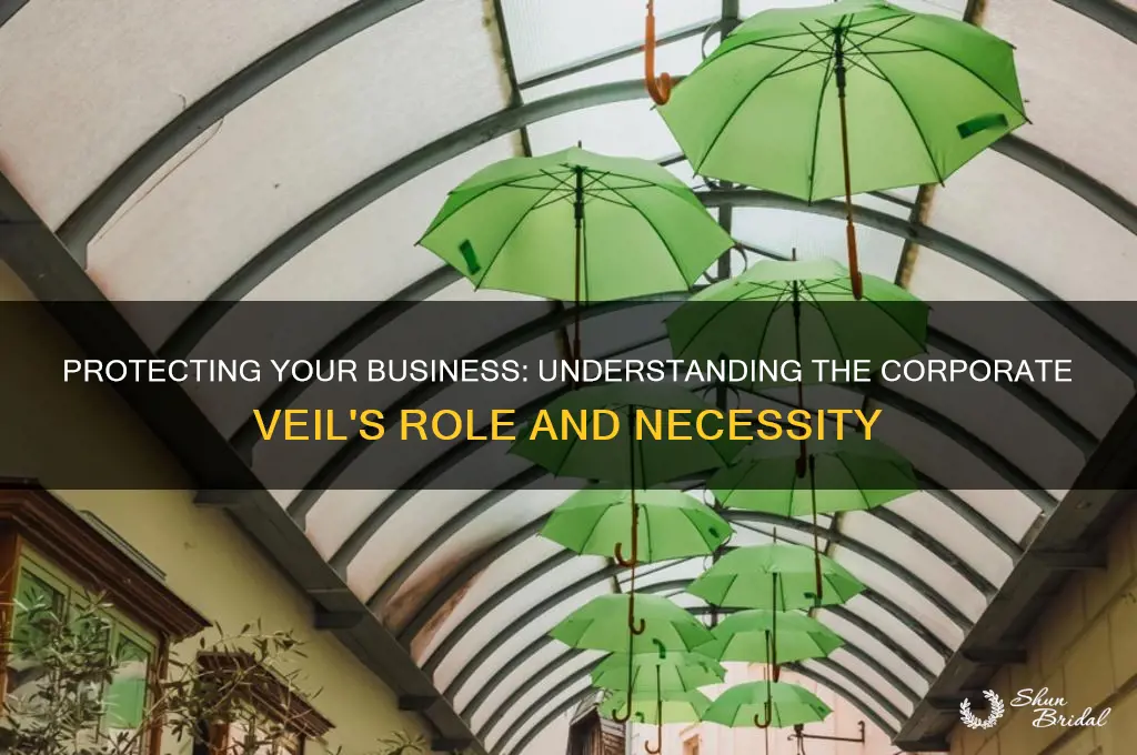 do i need a corporate veil