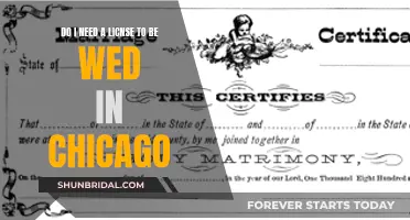 Weddings in Chicago: License Requirements and More