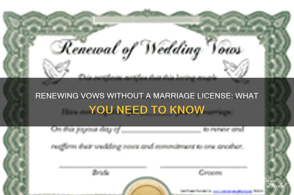 do i need a marriage license to renew my vows