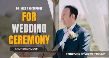 Microphone for Wedding: Essential or Unnecessary?