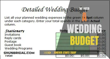 Creating a Wedding Budget: Do You Need One?