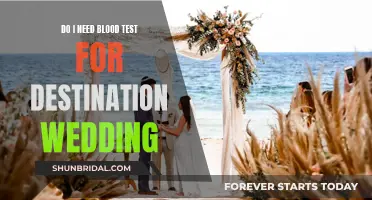 Blood Tests for Destination Weddings: What You Need to Know