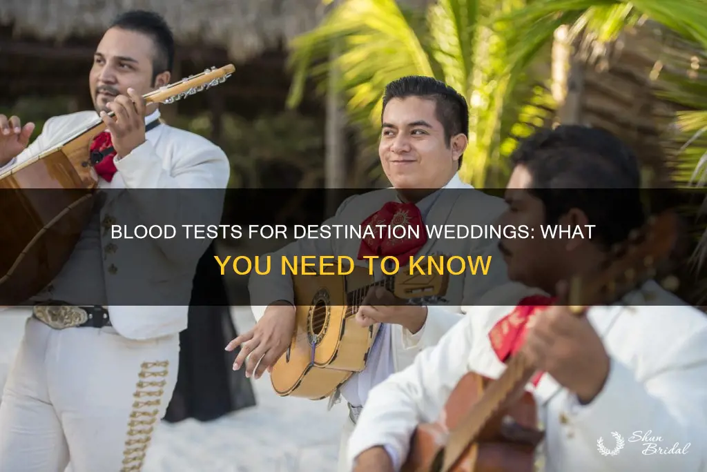 do I need blood test for destination wedding
