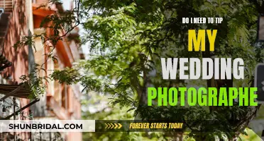 Tipping Wedding Photographers: Is It Necessary?
