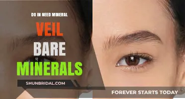 Mineral Veil Bare Minerals: Do You Really Need It?