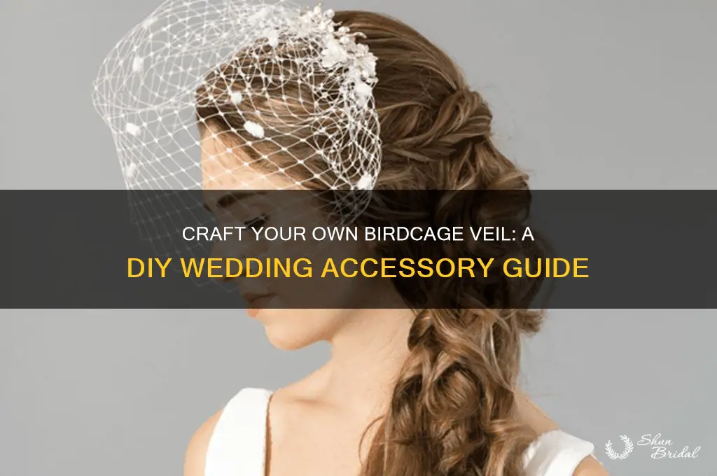 do it yourself birdcage veil