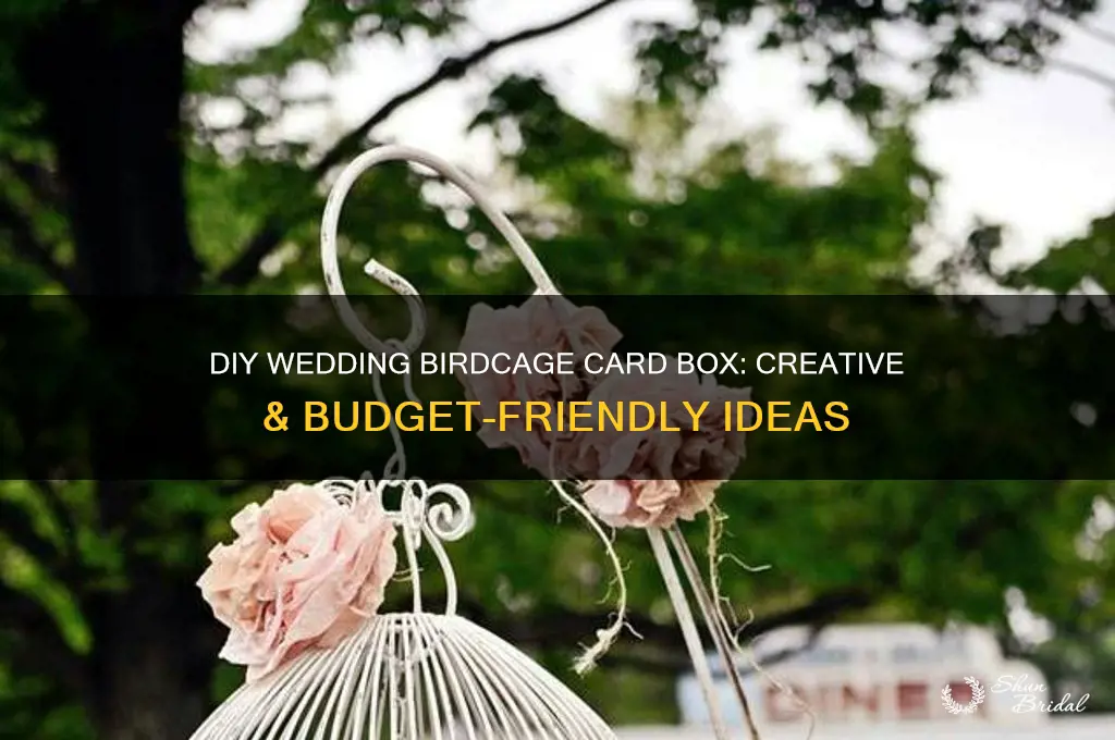 do it yourself wedding birdcage card box