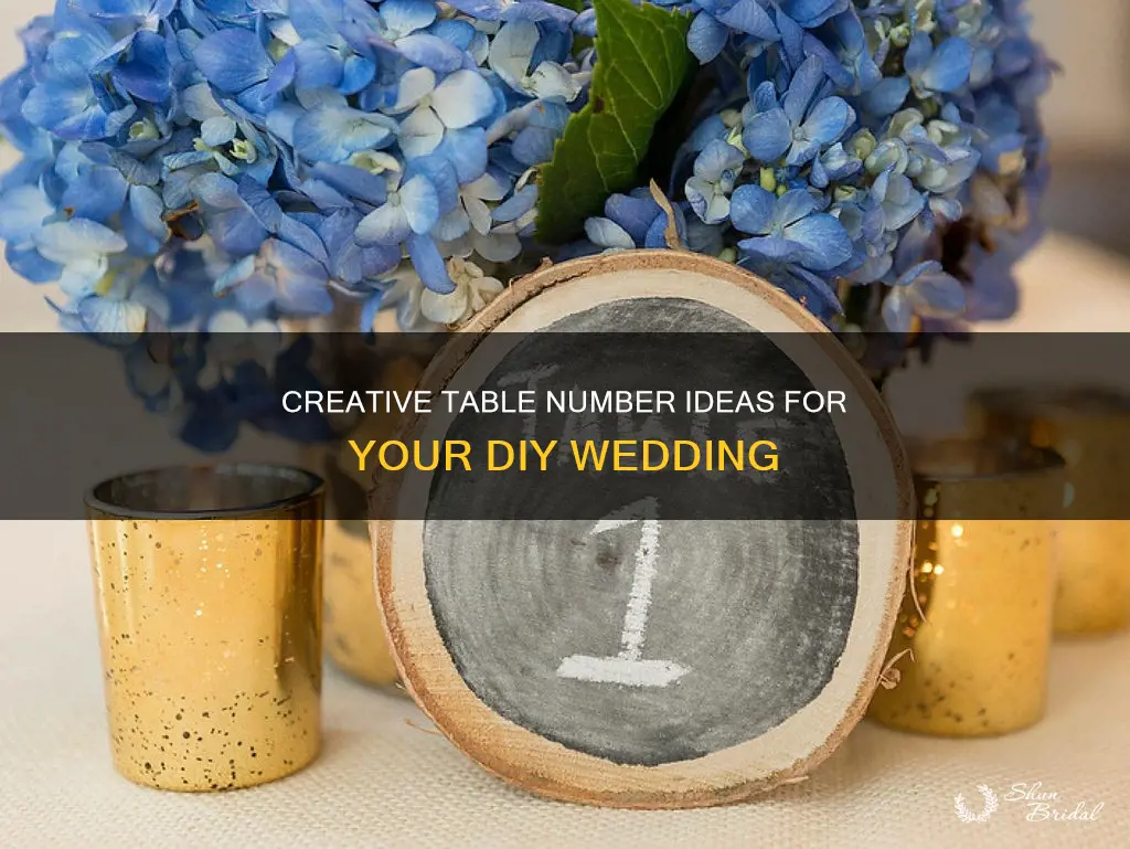 do it yourself wedding table numbers