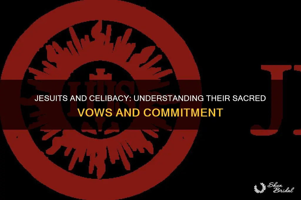 do jesuits take a vow of celibacy