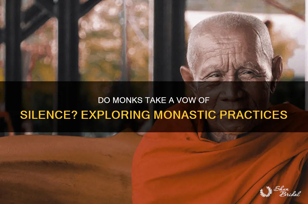 do maonks take a vow of silence