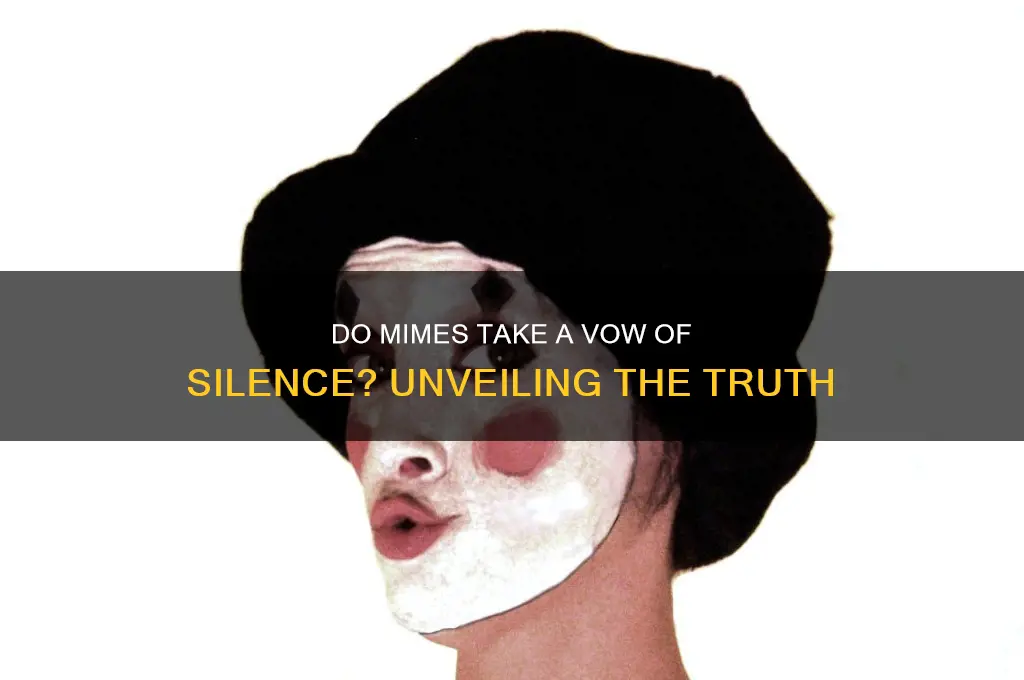 do mimes take a vow of silence