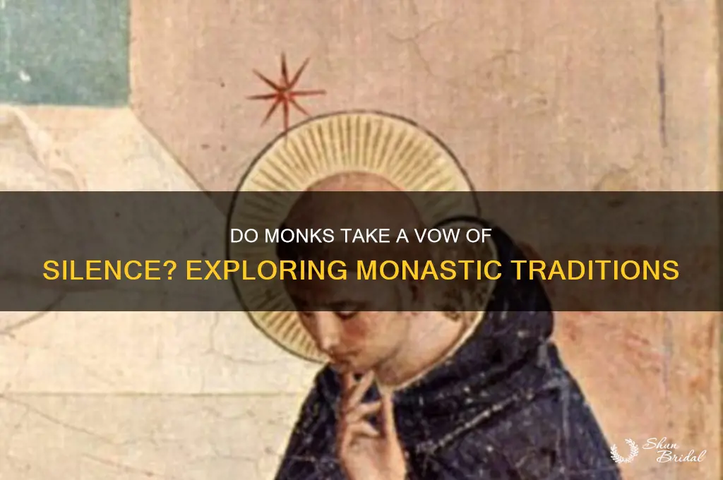 do monks take a vow of silence
