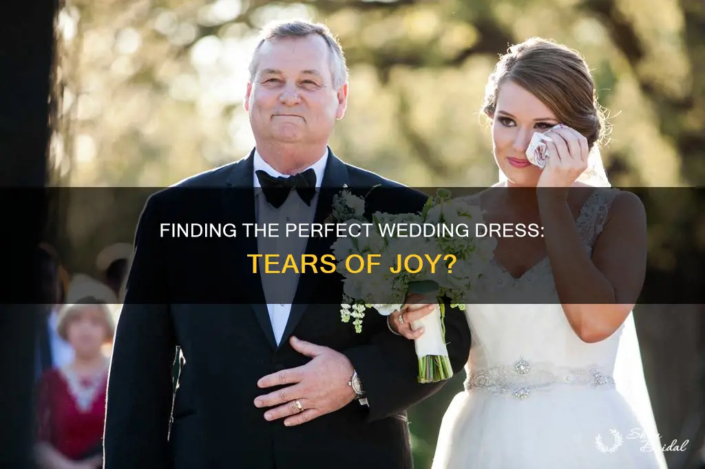 do most brides cry when they find a wedding dress