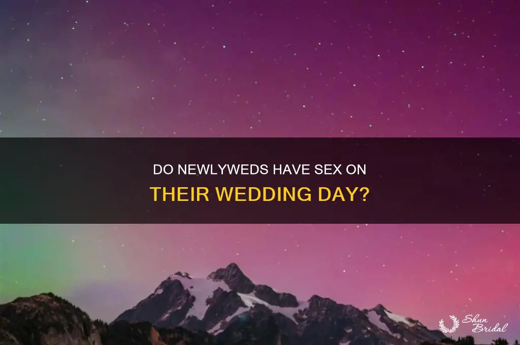 do newlyweds have sex on wedding day
