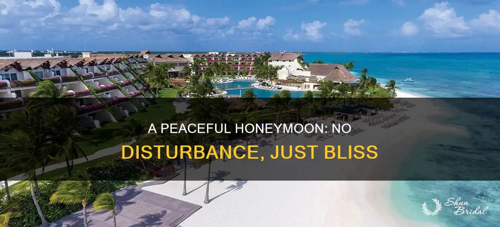 do not disturb havenly honeymoon