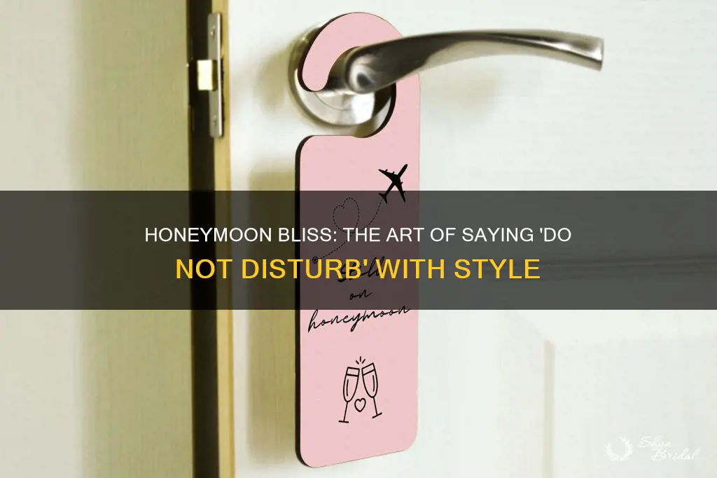 do not disturb honeymoon sign