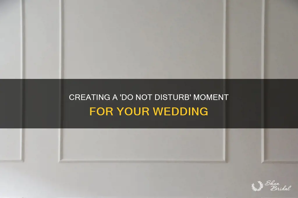 do not disturb wedding door sign