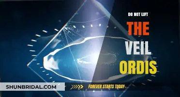 Unveiling the Mystery: Why the Veil of Ordis Must Remain