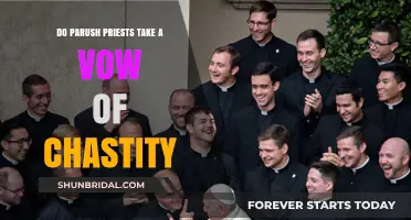 Do Parush Priests Vow to Remain Celibate?