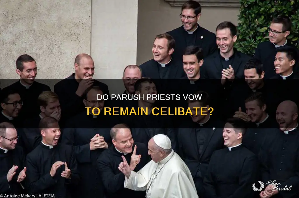 do parush priests take a vow of chastity