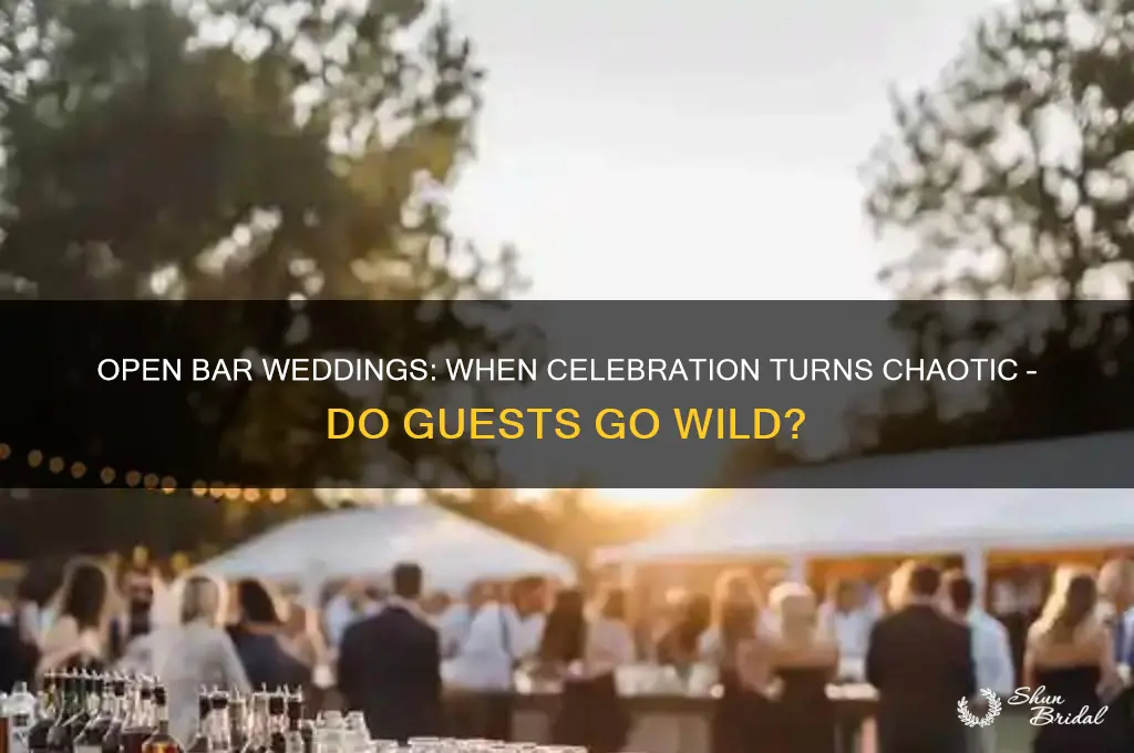 do people go crazy at open bar wedding
